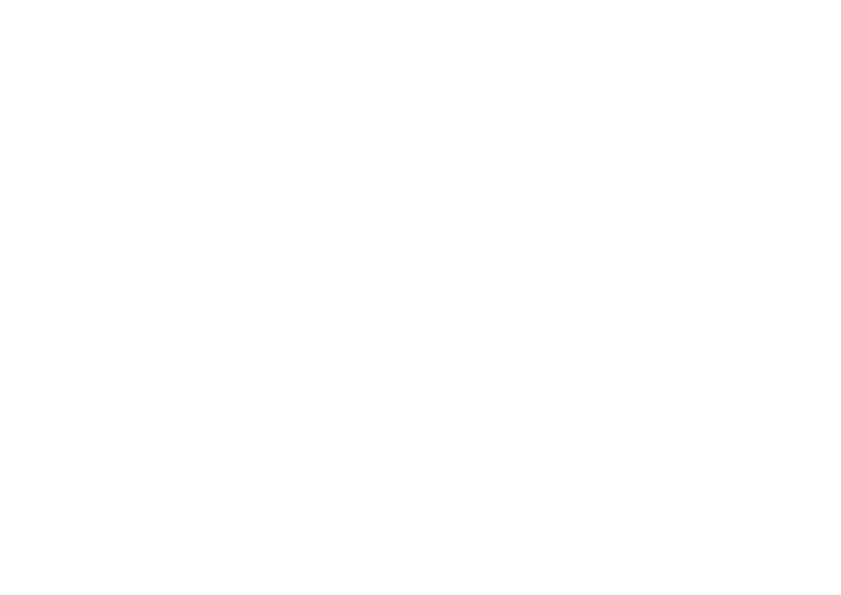 Many Tribes One Mob